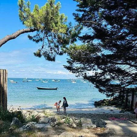 Villa Belle Maison Avec Piscine Plein Centre Cap Ferret Lège-Cap-Ferret